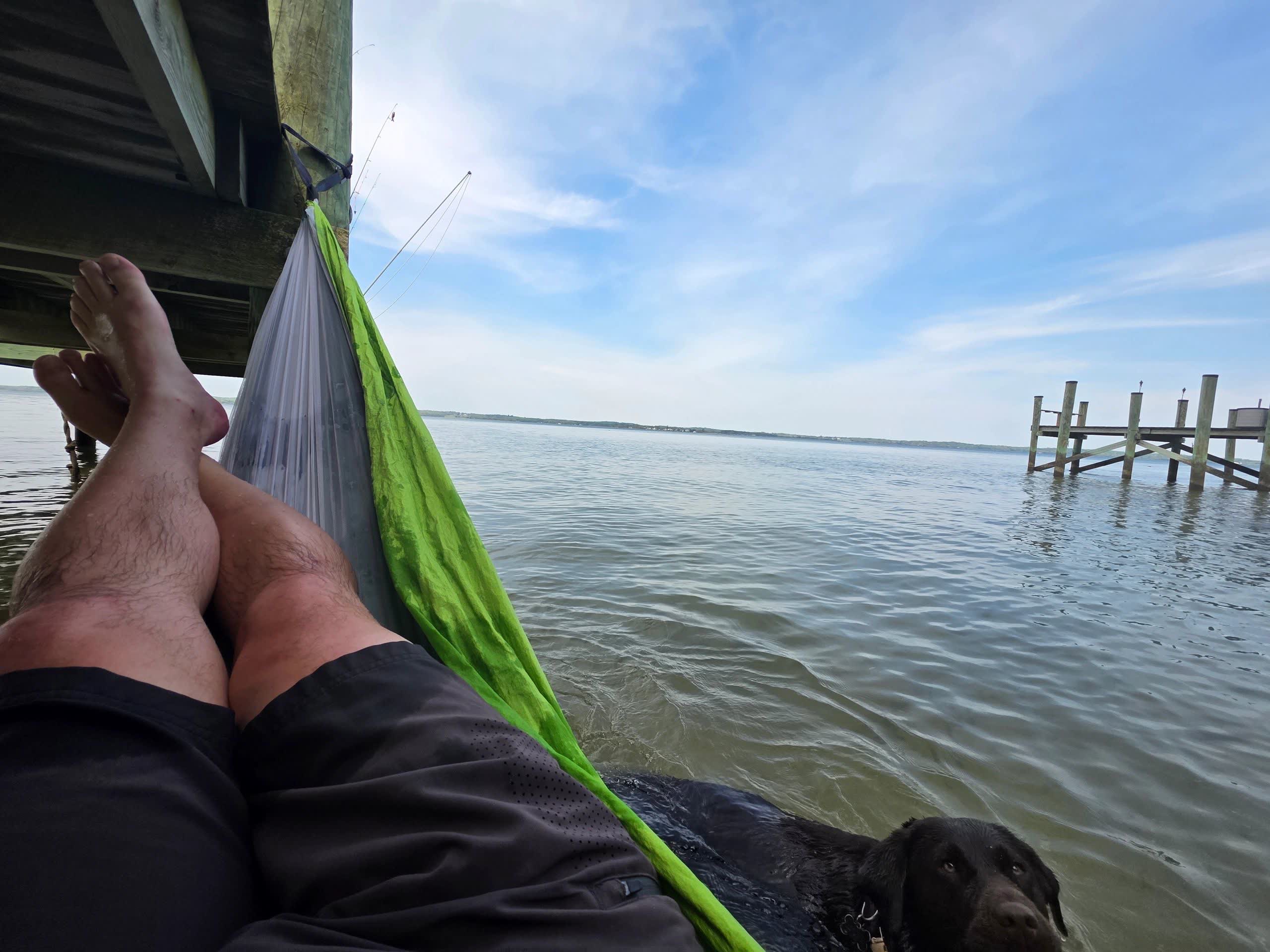 Outdoor camping hammock strung up with its bug net